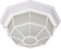 ES-1 LT SPIDER CAGE CEILING - 60-578