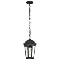 EAST RIVER 1LT OUTDOOR HANGING - 60-5944