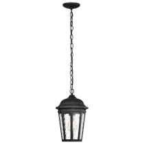 EAST RIVER 1LT OUTDOOR HANGING - 60-5944