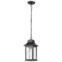 STILLWELL 1LT OUTDOOR HANGING - 60-5958