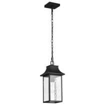 AUSTEN 1LT OUTDOOR HANGING - 60-5996