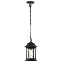 HOPKINS 1LT OUTDOOR HANGING - 60-6117