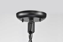 HOPKINS 1LT OUTDOOR HANGING - 60-6117