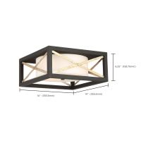 BOXER 2 LIGHT FLUSH MOUNT - 60-6132
