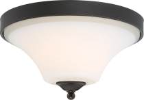 FAWN 2 LIGHT FLUSH MOUNT - 60-6311