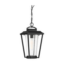 LAKEVIEW 1 LT HANGING LANTERN - 60-6514