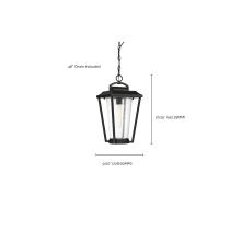 LAKEVIEW 1 LT HANGING LANTERN - 60-6514