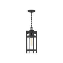 TOFINO 1 LT HANGING LANTERN - 60-6574