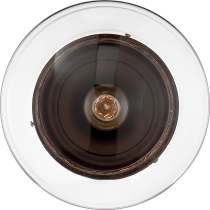 CHANTECLEER 1 LIGHT SEMI FLUSH - 60-6779