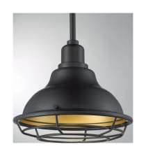 NEWBRIDGE 1LT SMALL PENDANT - 60-7013