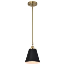 DOVER 1 LIGHT SMALL PENDANT - 60-7408
