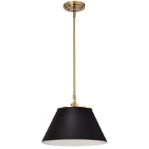 DOVER 1 LIGHT MEDIUM PENDANT - 60-7411