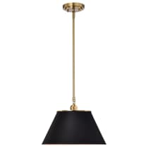 DOVER 1 LIGHT MEDIUM PENDANT - 60-7411