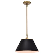 DOVER 1 LIGHT MEDIUM PENDANT - 60-7411