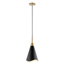 TANGO 1 LIGHT LARGE PENDANT - 60-7476
