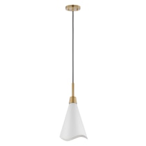 TANGO 1 LIGHT LARGE PENDANT - 60-7477