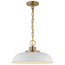 COLONY 1 LIGHT SMALL PENDANT - 60-7480
