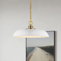 COLONY 1 LIGHT MEDIUM PENDANT - 60-7483