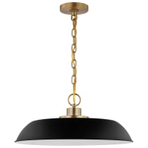 COLONY 1 LIGHT MEDIUM PENDANT - 60-7484