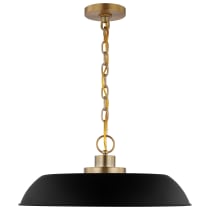 COLONY 1 LIGHT MEDIUM PENDANT - 60-7484