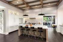 COLONY 1 LIGHT MEDIUM PENDANT - 60-7484