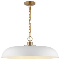 COLONY 1 LIGHT LARGE PENDANT - 60-7486