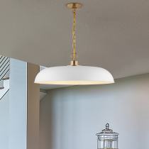 COLONY 1 LIGHT LARGE PENDANT - 60-7486