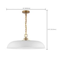 COLONY 1 LIGHT LARGE PENDANT - 60-7486