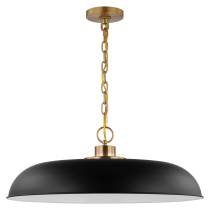 COLONY 1 LIGHT LARGE PENDANT - 60-7487