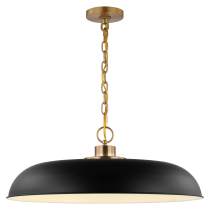 COLONY 1 LIGHT LARGE PENDANT - 60-7487