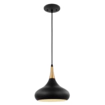 PHOENIX 1 LIGHT SMALL PENDANT - 60-7511