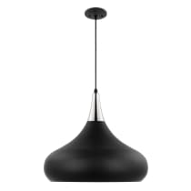 PHOENIX 1 LIGHT LARGE PENDANT - 60-7516