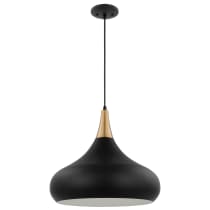PHOENIX 1 LIGHT LARGE PENDANT - 60-7517