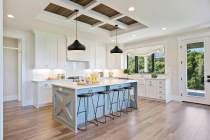 PHOENIX 1 LIGHT LARGE PENDANT - 60-7517