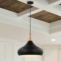 PHOENIX 1 LIGHT LARGE PENDANT - 60-7517