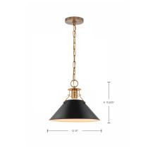 OUTPOST 1 LIGHT MEDIUM PENDANT - 60-7523