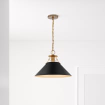 OUTPOST 1 LIGHT LARGE PENDANT - 60-7525