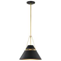ADINA 1 LIGHT MEDIUM PENDANT - 60-7766