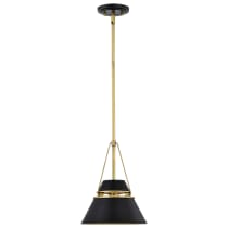 ADINA 1 LIGHT SMALL PENDANT - 60-7767