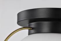 LAKESHORE 1 LT MEDIUM FLUSH - 60-7771