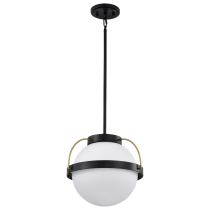 LAKESHORE 1 LT LARGE PENDANT - 60-7775
