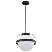 LAKESHORE 1 LT LARGE PENDANT - 60-7775
