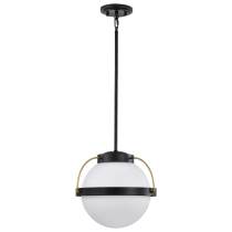 LAKESHORE 1 LT LARGE PENDANT - 60-7775