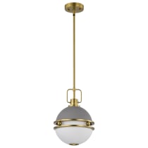 EVERTON 1 LIGHT 10" PENDANT - 60-7875