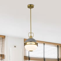 EVERTON 1 LIGHT 10" PENDANT - 60-7875
