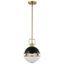EVERTON 1 LIGHT 10" PENDANT - 60-7876
