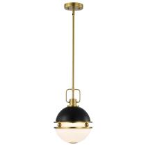 EVERTON 1 LIGHT 10" PENDANT - 60-7876