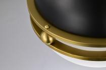 EVERTON 1 LIGHT 10" PENDANT - 60-7876