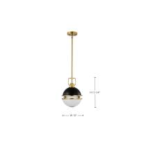 EVERTON 1 LIGHT 10" PENDANT - 60-7876