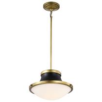 LAFAYETTE 1 LIGHT 14" PENDANT - 60-7907